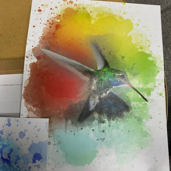 Three 8 x 10 Hummingbird Prints - Picture 2 of 4